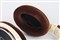 ɭ������HD598��ƷͼƬ4