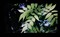 NEC VE2402XЧ��ͼƬ3