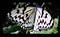 NEC VE2402XЧ��ͼƬ4