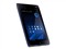 Acer Iconia Tab A101���ͼƬ1