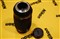 �῵AF-S 70-300mm f/4.5-5.6G IF-ED VR��ƷͼƬ6