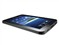 ����GalaxyTab P1010���ͼƬ