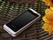 VOTO P6500��ƷͼƬ4