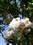 ����FH27(FS37)����ͼƬ