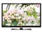 TCL L55P7200-3D��ƷͼƬ1