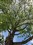 ���ְ�˹M.ZUIKO DIGITAL ED 12mm f/2.0����ͼƬ7
