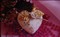 ICOO T55��ƷͼƬ6