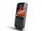 ��ݮBold 9900 4G��ƷͼƬ3