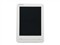 Ŧ��Newpad NP715���ͼƬ1