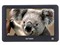 ����VX530LE(8G)��ƷͼƬ1