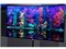 LG55EM9600��ƷͼƬ3