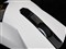 Razer�����ս-�ɹ��͹���ƷͼƬ7