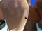 ����Slate tablet��ƷͼƬ6