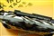 ��̩GTX560Ti-1GD5 �����OC+��ƷͼƬ4