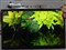 ����LCD-32LX440Aʵ��ͼƬ2