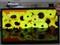 ����LCD-32LX440Aʵ��ͼƬ3
