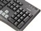 �޼�G105��ƷͼƬ7