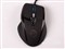 ����G2000��ƷͼƬ5