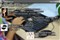 �޼�G100��Ʒ����ͼƬ2