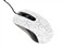 �¹�GX1-F(MS-258OU)��ƷͼƬ5