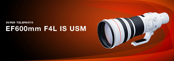 ����EF 600mm f/4L IS USMͼƬ4