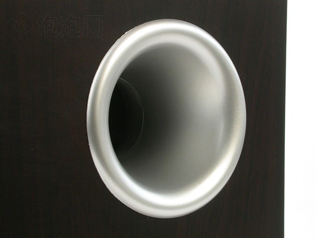R231T����