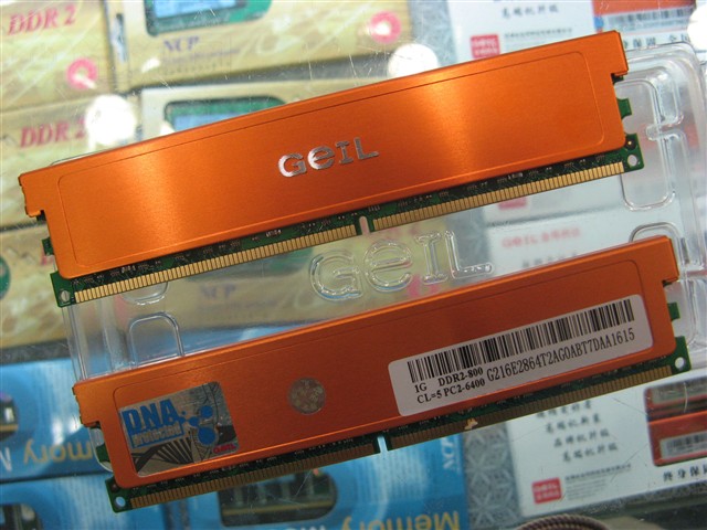 1GB DDR2 800(�׽���)�ڴ�