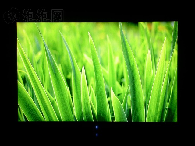 Great Wall V247����ͼƬ71