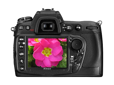 �῵D300������� ����鿴��һ��