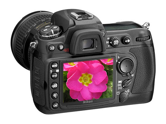 �῵D300������� ����鿴��һ��