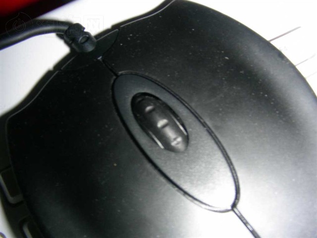 雷蛇Boomslang 非洲树蛇2100DPI其他图片下