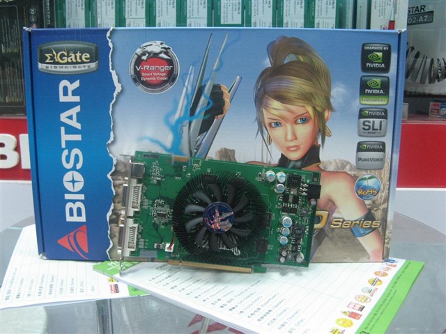 V8603TS21�Կ�