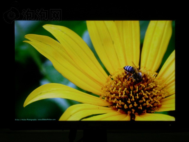 ������220CW8Һ����ʾ�� ����鿴��һ��