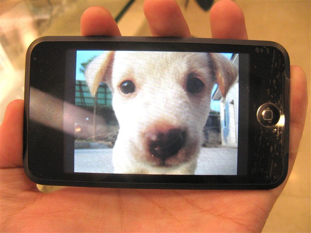 iPod touch(16GB)MP3