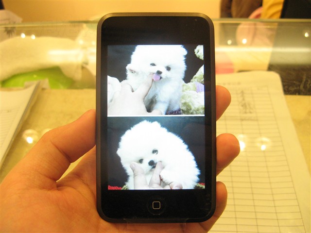 iPod touch(16GB)MP3