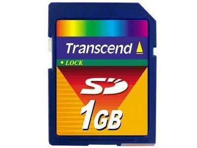 SD (1GB)���濨