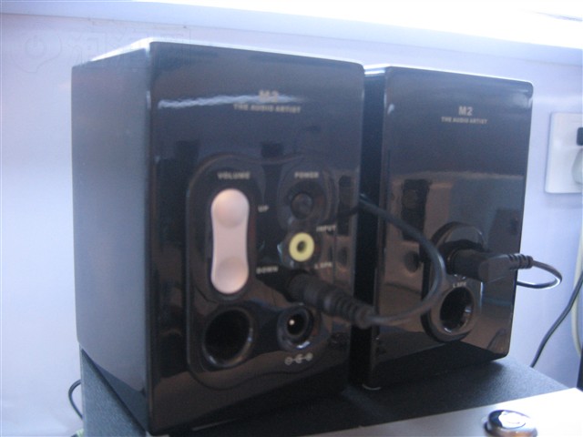 R231T����