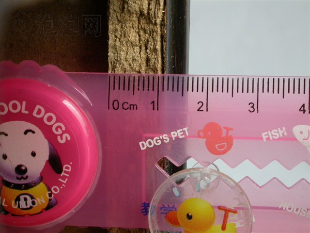 �����M7������ ����鿴��һ��