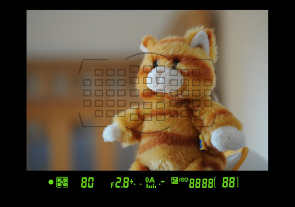 �῵D700������� ����鿴��һ��