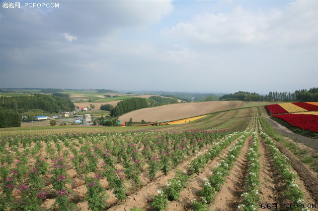 EOS 5D�������