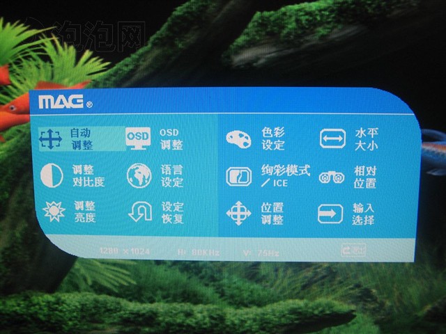 ����WS213DFҺ����ʾ�� ����鿴��һ��