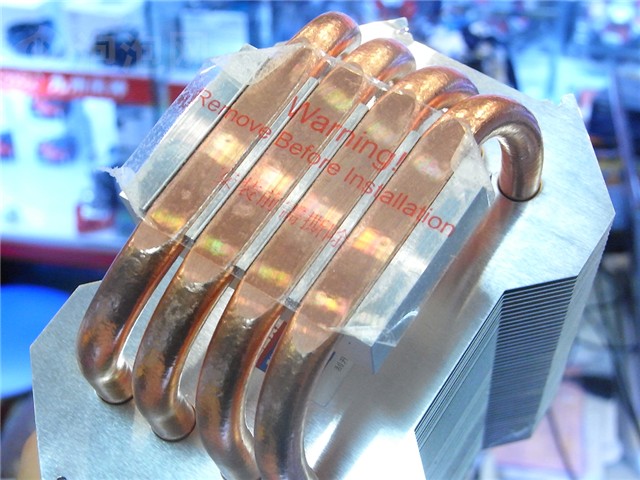 捷冷虎头蜂其他图片下载 图片大全 第12张