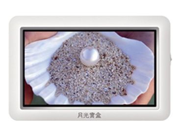 ������PM5985ͼƬ1