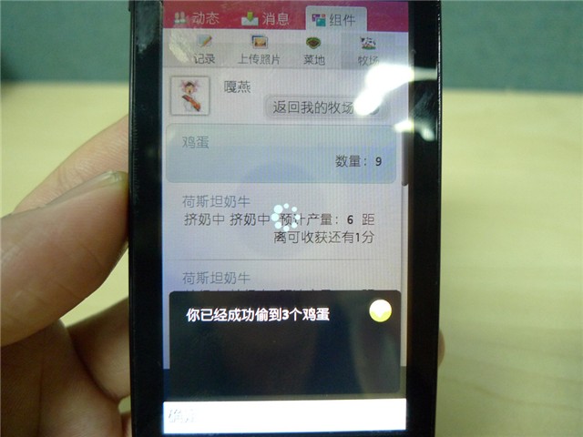 002444307.jpg
