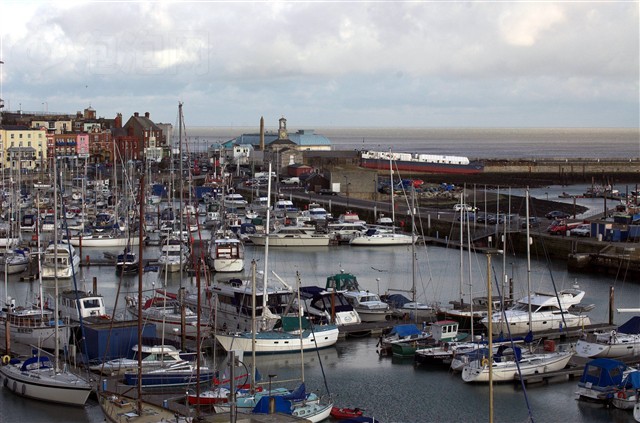 适马APO 50-500mm F4.5-6.3 DG OS HSM(佳