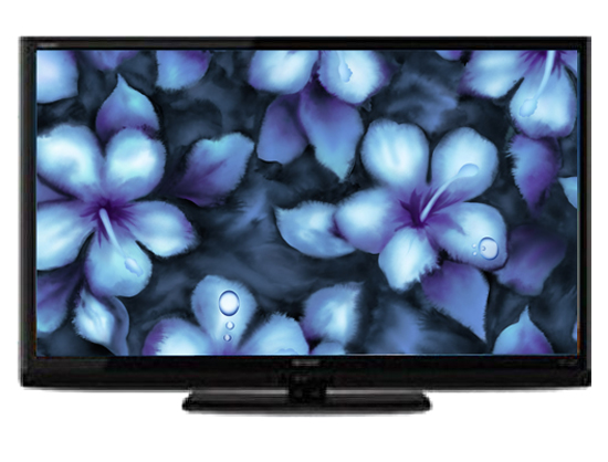 ����LCD-60LX531AͼƬ11