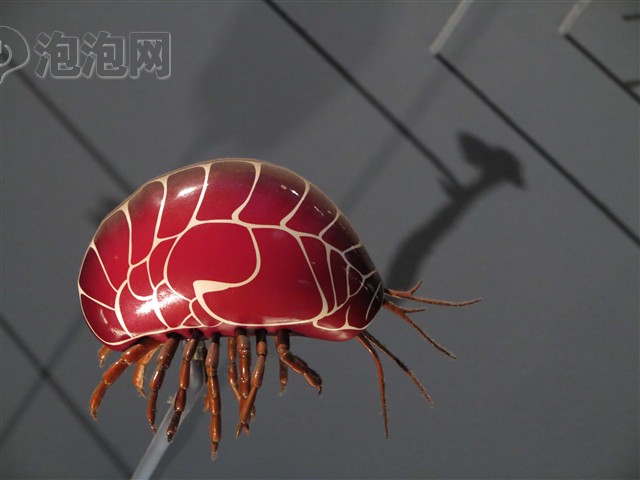 佳能G1X样张图片下载 图片大全 第60张