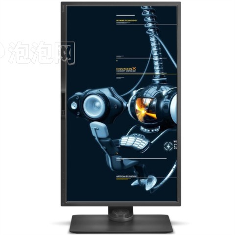 明基PD3200Q 32英寸2K分辨率 100%sRGB色