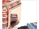 ˼�� CNPS9700 LEDͼƬ-23k