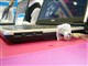 HP Compaq Presario B1925TU(RR180PA#AB2)ͼƬ-73k